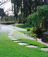 Load image into Gallery viewer, Hunter SRM 1/2" Rotor